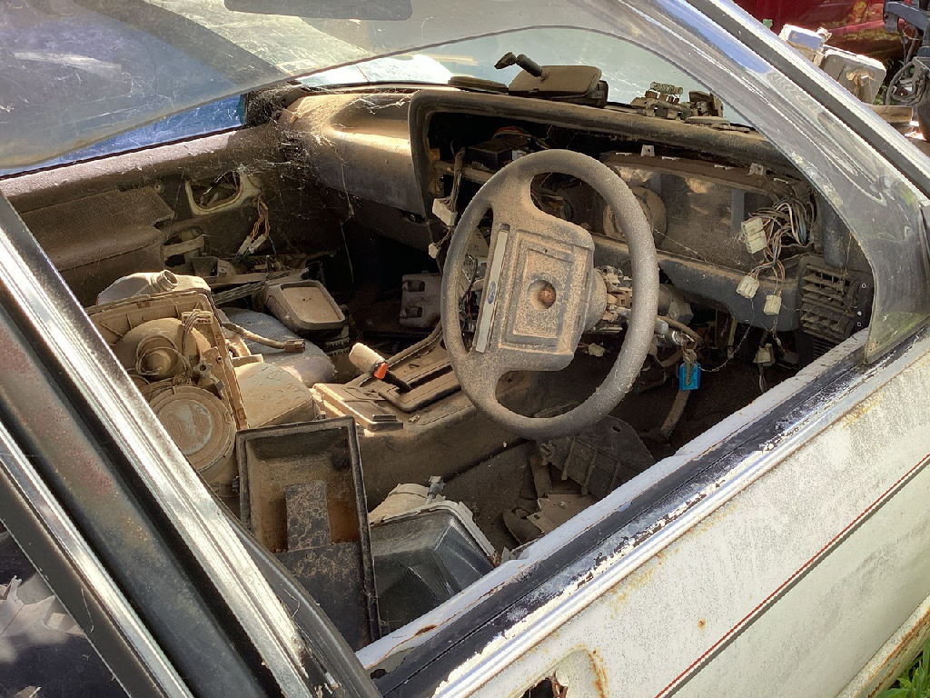 XF 1987 Ford Falcon photo 5