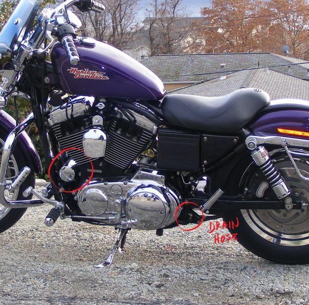 2000 Harley-Davidson Sportster Custom engine oil change-eb2c #2-