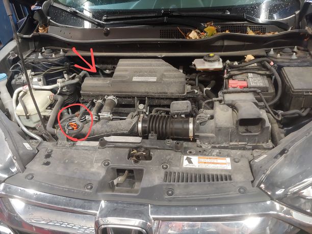 2019 Honda CRV oil change-4ec6 #1-