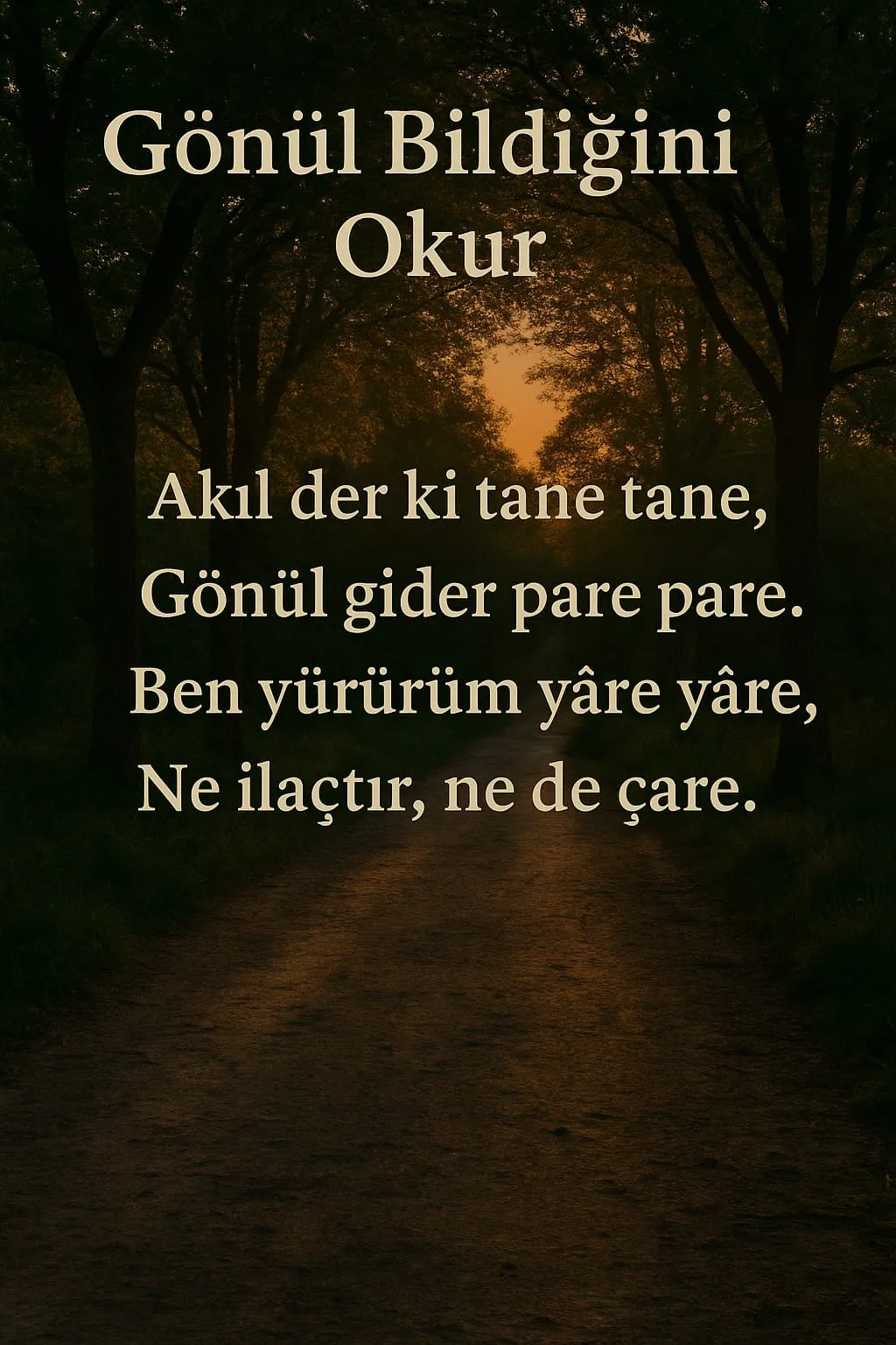 ŞİİR VE DÖRTLÜKLER - Gönül Bildiğini Okur bölüm görseli 1