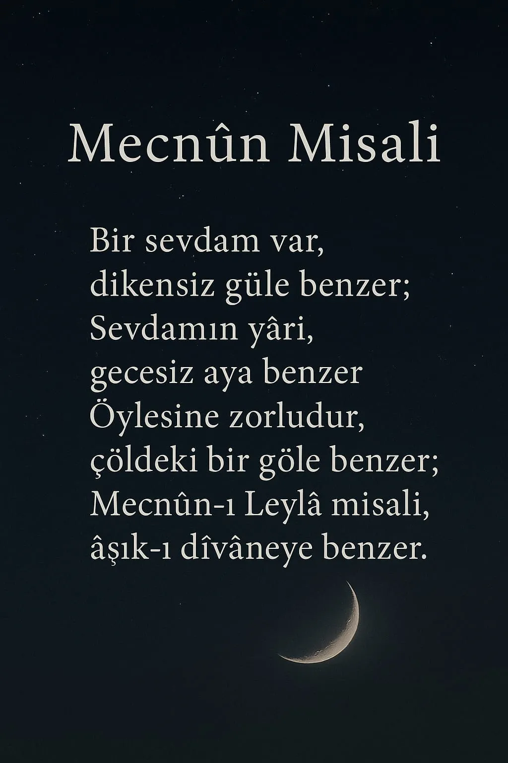 ŞİİR VE DÖRTLÜKLER - Mecnun Misali bölüm görseli 1