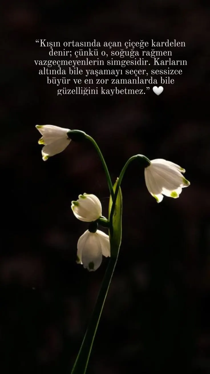 isyankar eylem - 🩸Prolog(atın çöpe)⚖️ bölüm görseli 1