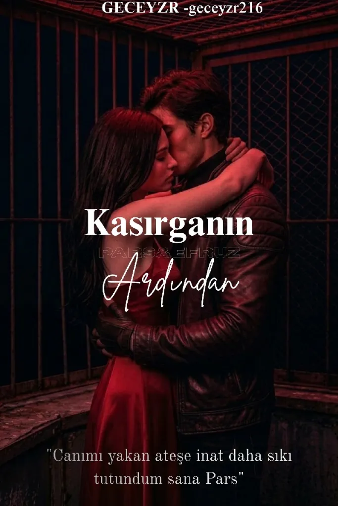 Kasırganın Ardından kitap kapağı