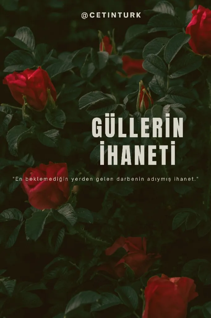 Güllerin İhaneti kapagi