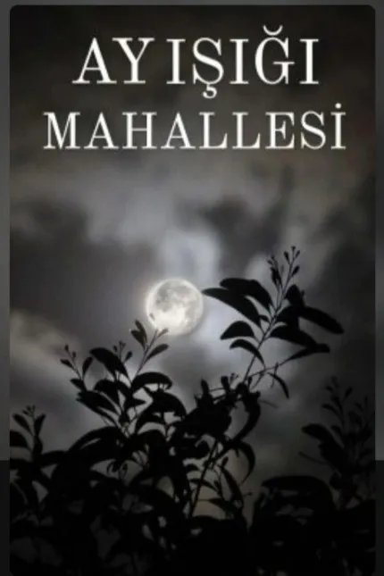 AY IŞIĞI MAHALLESİ kapagi