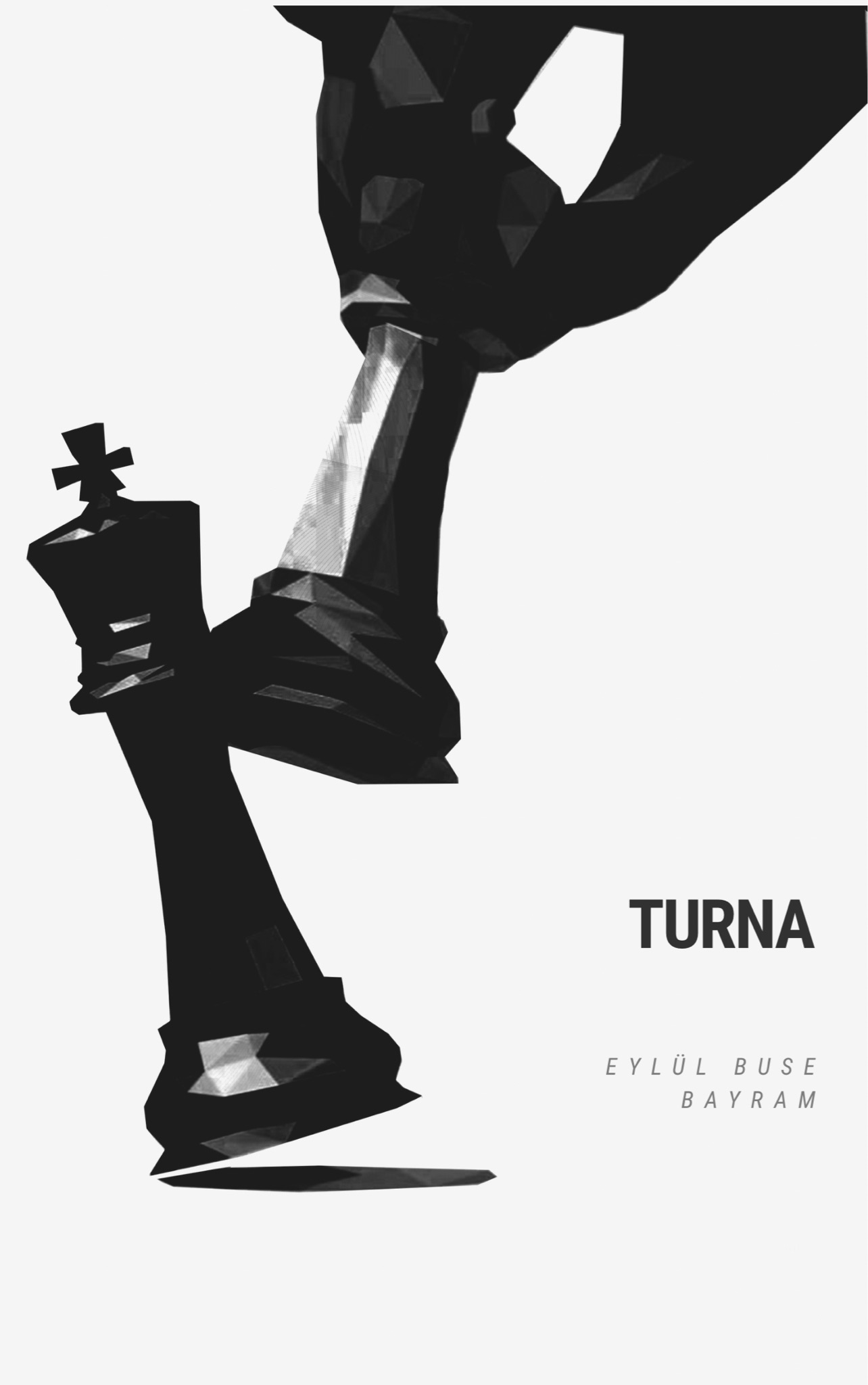 TURNA kapagi