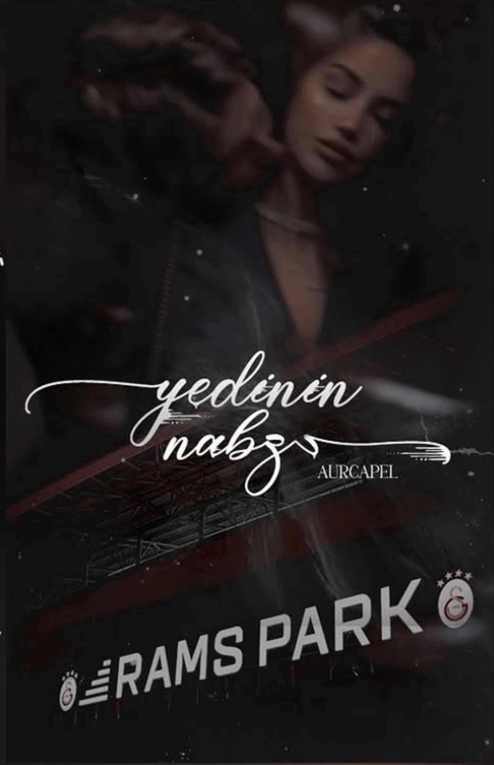 YEDİNİN NABZI kapagi