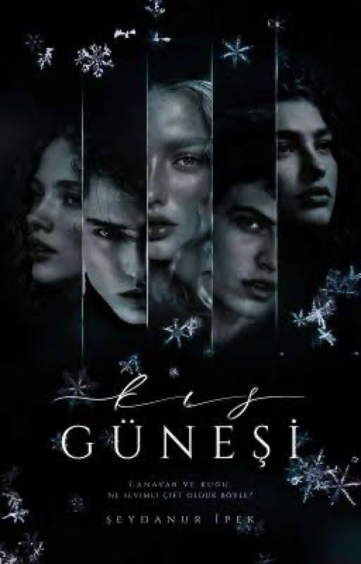 MADALYON CEMİYETİ - 1 KIŞ GÜNEŞİ kitap kapağı
