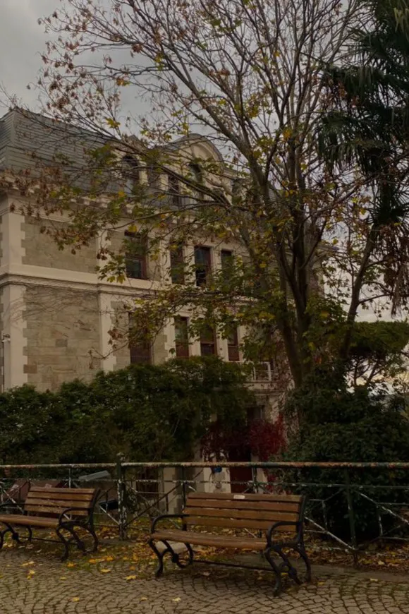 Apex Crucible College University – mimi kitap kapağı