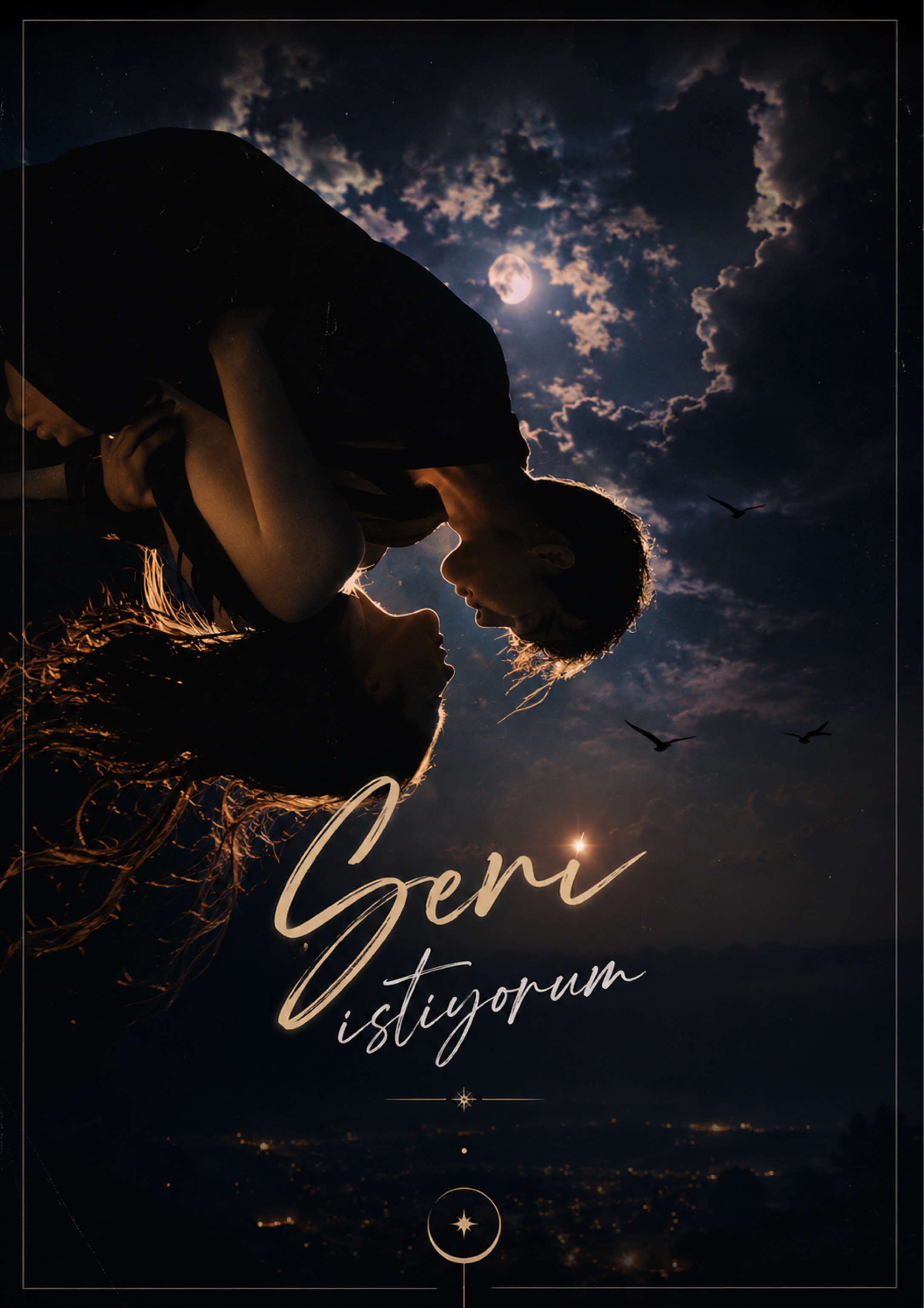 Seni İstiyorum - İrem kitap kapağı