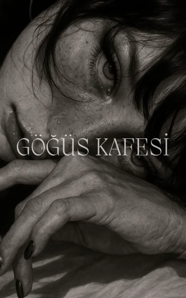 GÖĞÜS KAFESİ – WritePad Yazarı kitap kapağı
