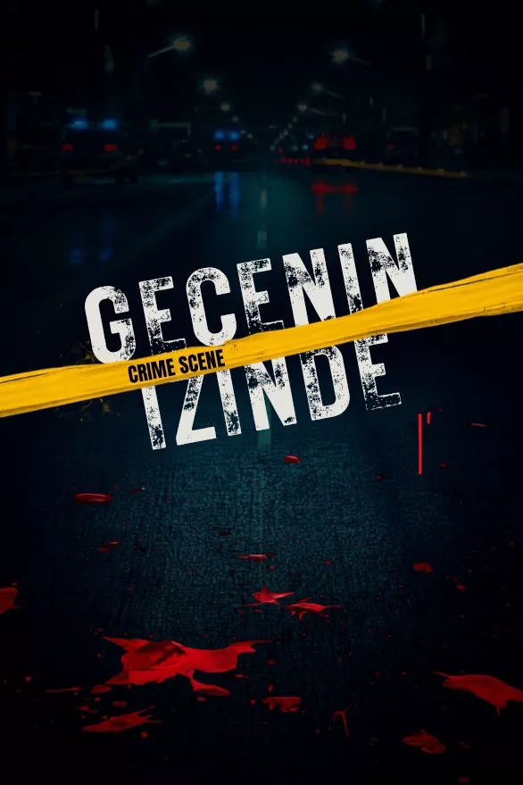 Gecenin İzinde – Ecrin K kitap kapağı