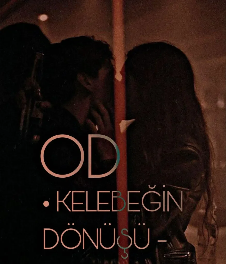 OD-KELEBEĞİN DÖNÜŞÜ – WritePad Yazarı kitap kapağı