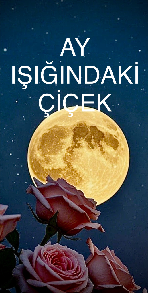 AY IŞIĞINDAKİ ÇİÇEK – WritePad Yazarı kitap kapağı