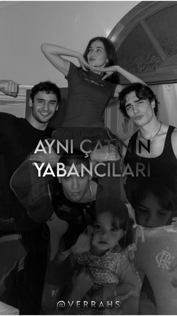 AYNI ÇATININ YABANCILARI – Vera kitap kapağı