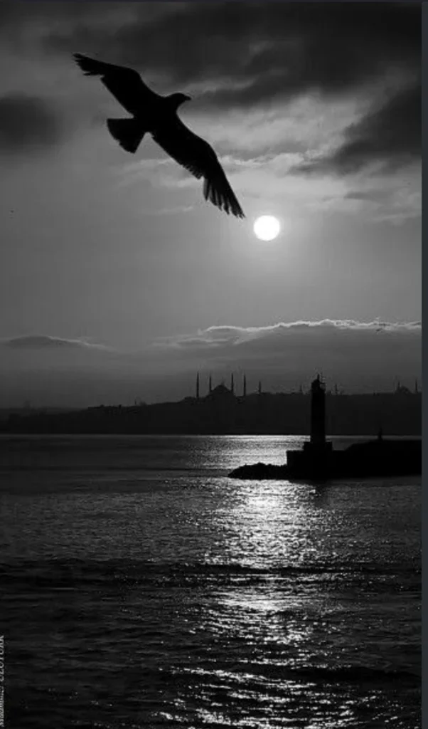 Yeni bir gün – Canım sıkıldı kitap kapağı