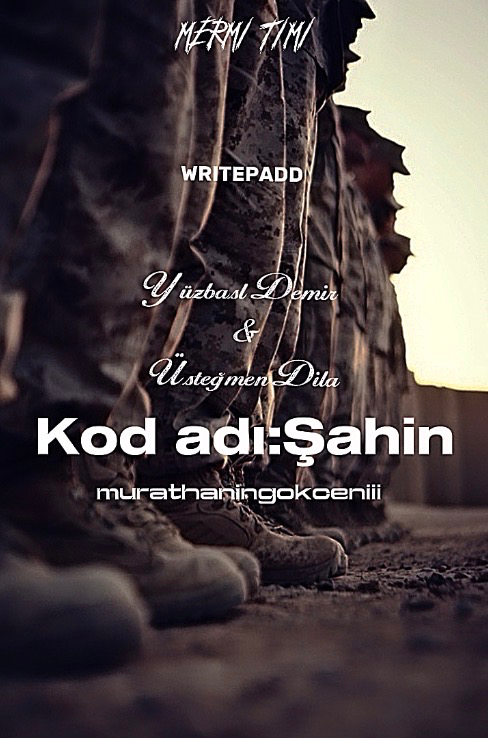 Kod adı:Şahin – WritePad Yazarı kitap kapağı