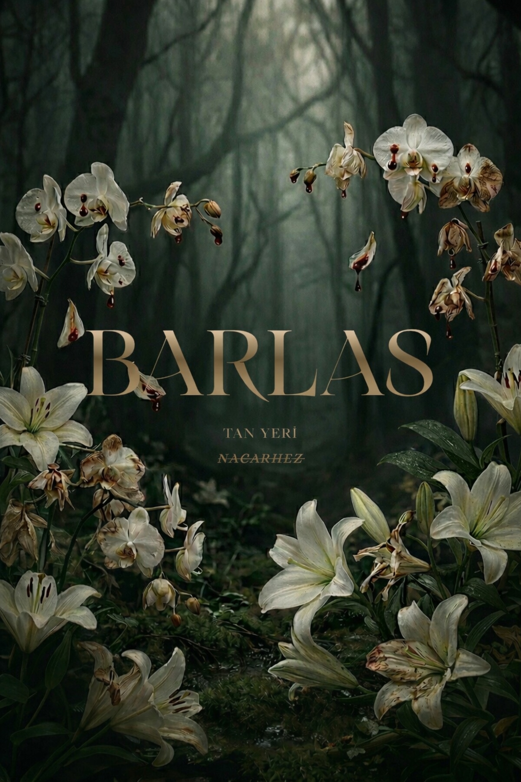 BARLAS - Nacarhez kitap kapağı