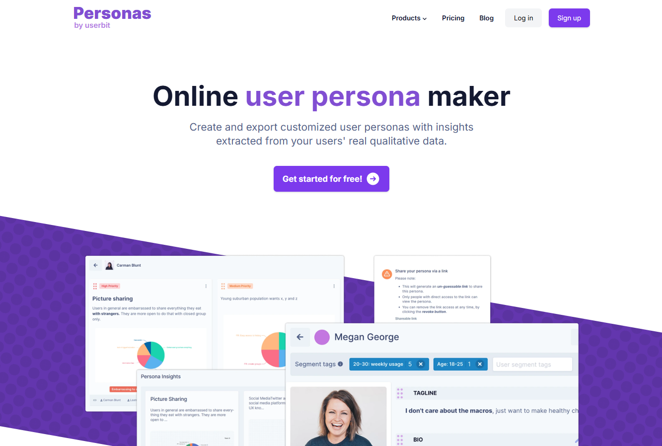 Online user persona maker by UserBit