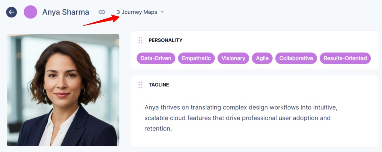 Number journey maps linked to the persona 