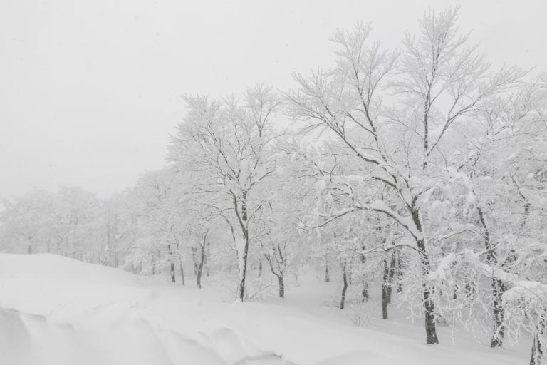 Efekt śnieżnej zaspy