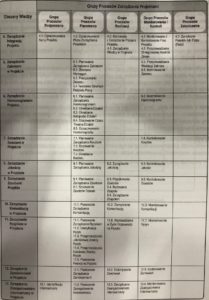 Recenzja polskiej edycji PMBOK Guide 6