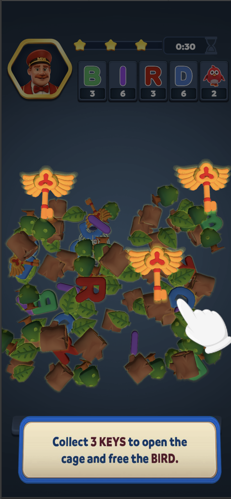BirdTutorial