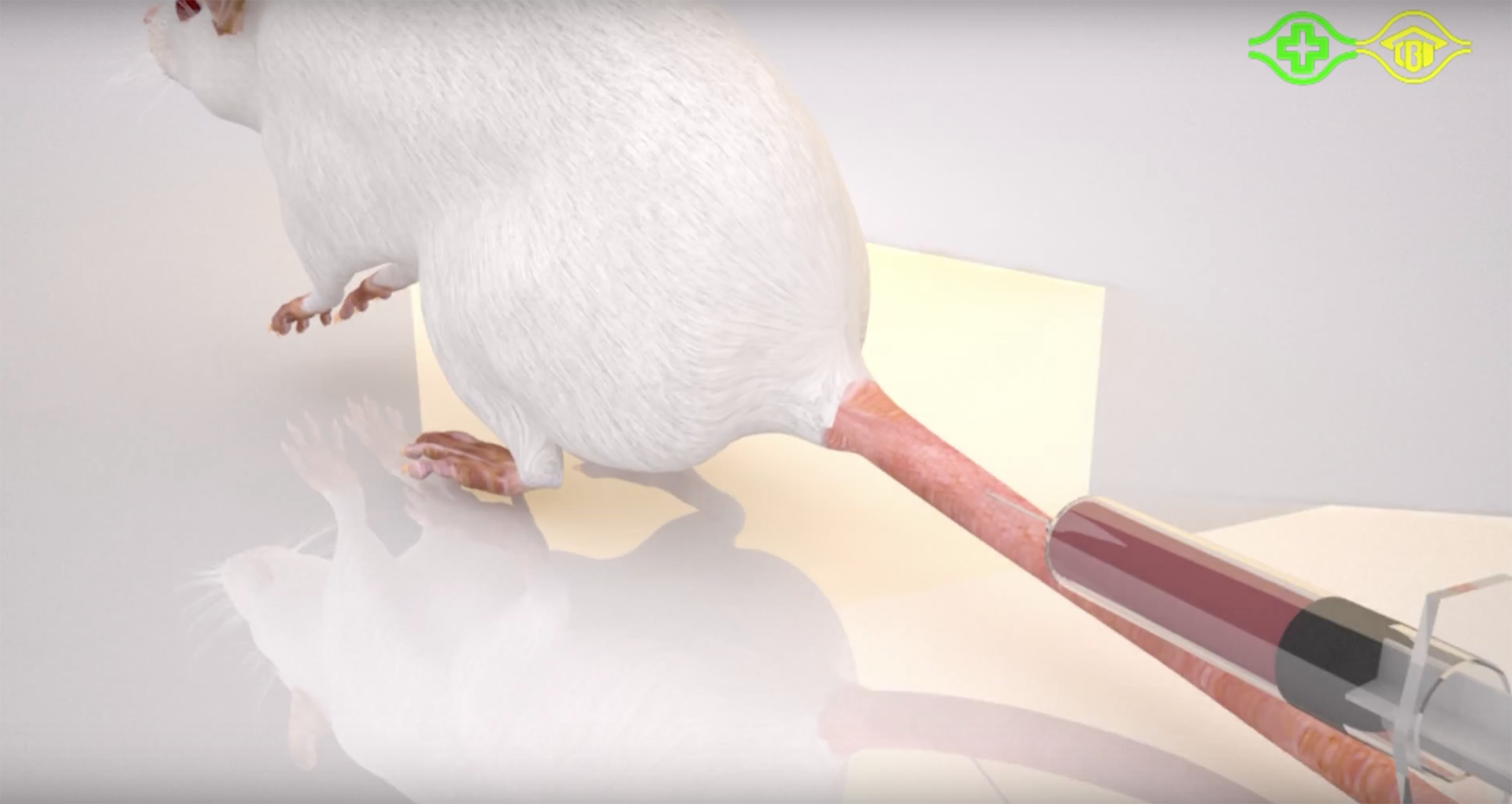 Chang Gung Memorial Hospital 3D Animation of Graphene-based Cancer Treatment