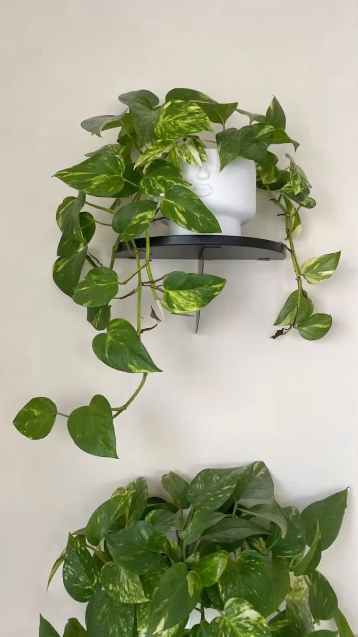 Plantas artificiales
