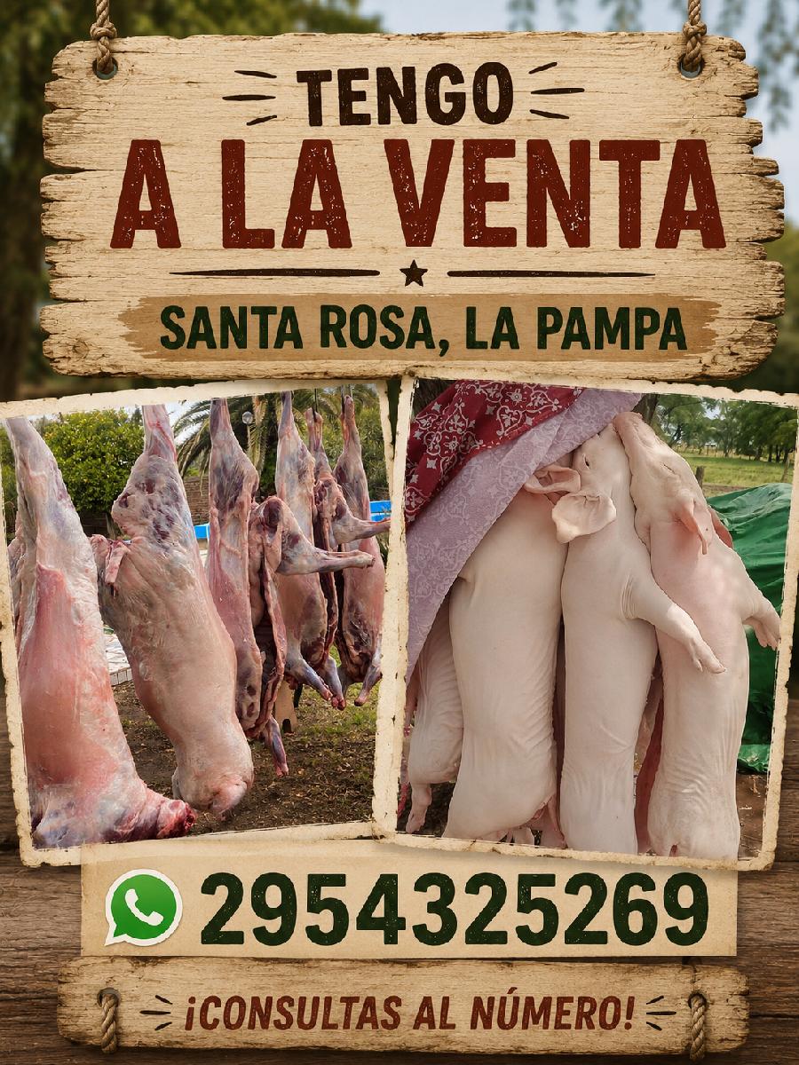 Lechones y Corderos disponibles