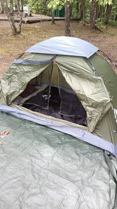 Carpa Coleman