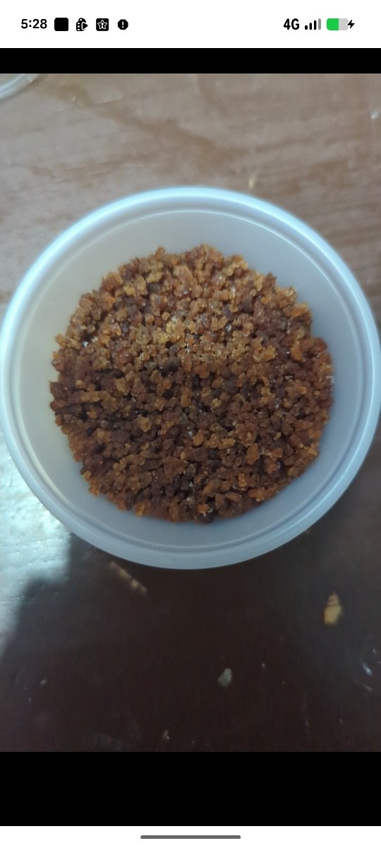 Tibicos de agua desidratados