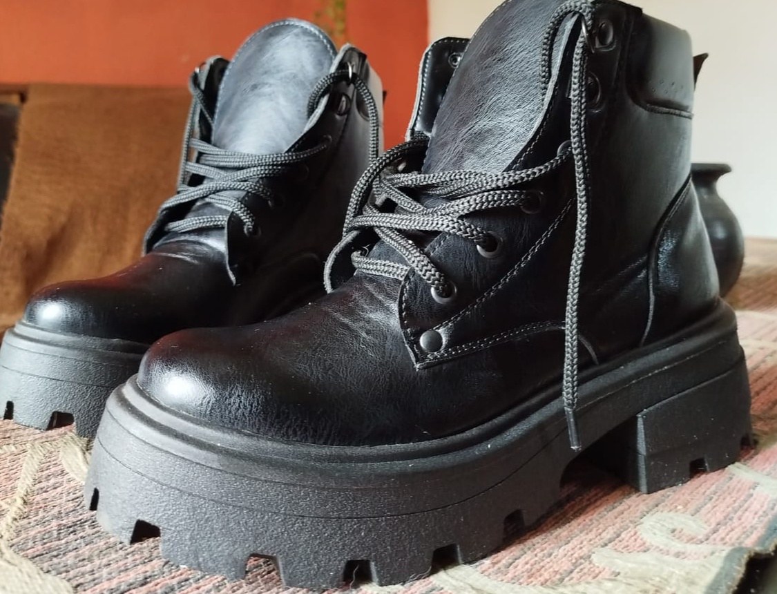 bolcegos nuevos
