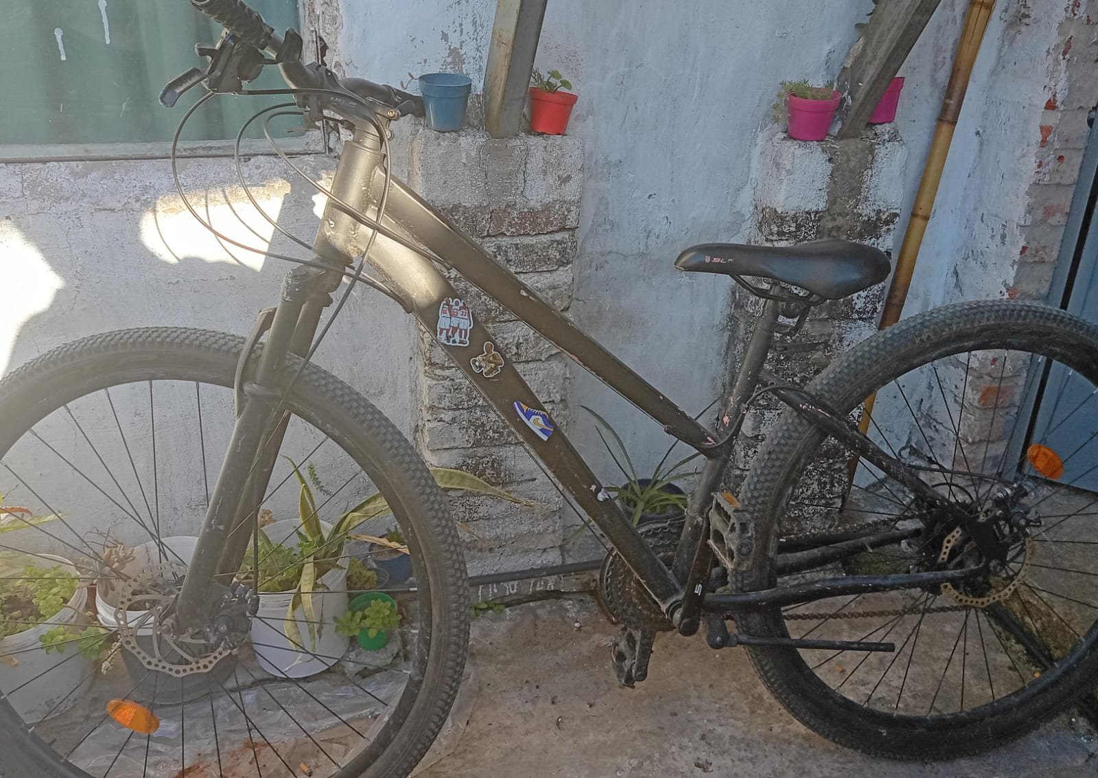 Bicicleta slp
