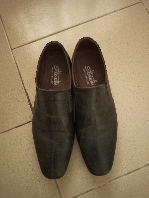 Male Shoe