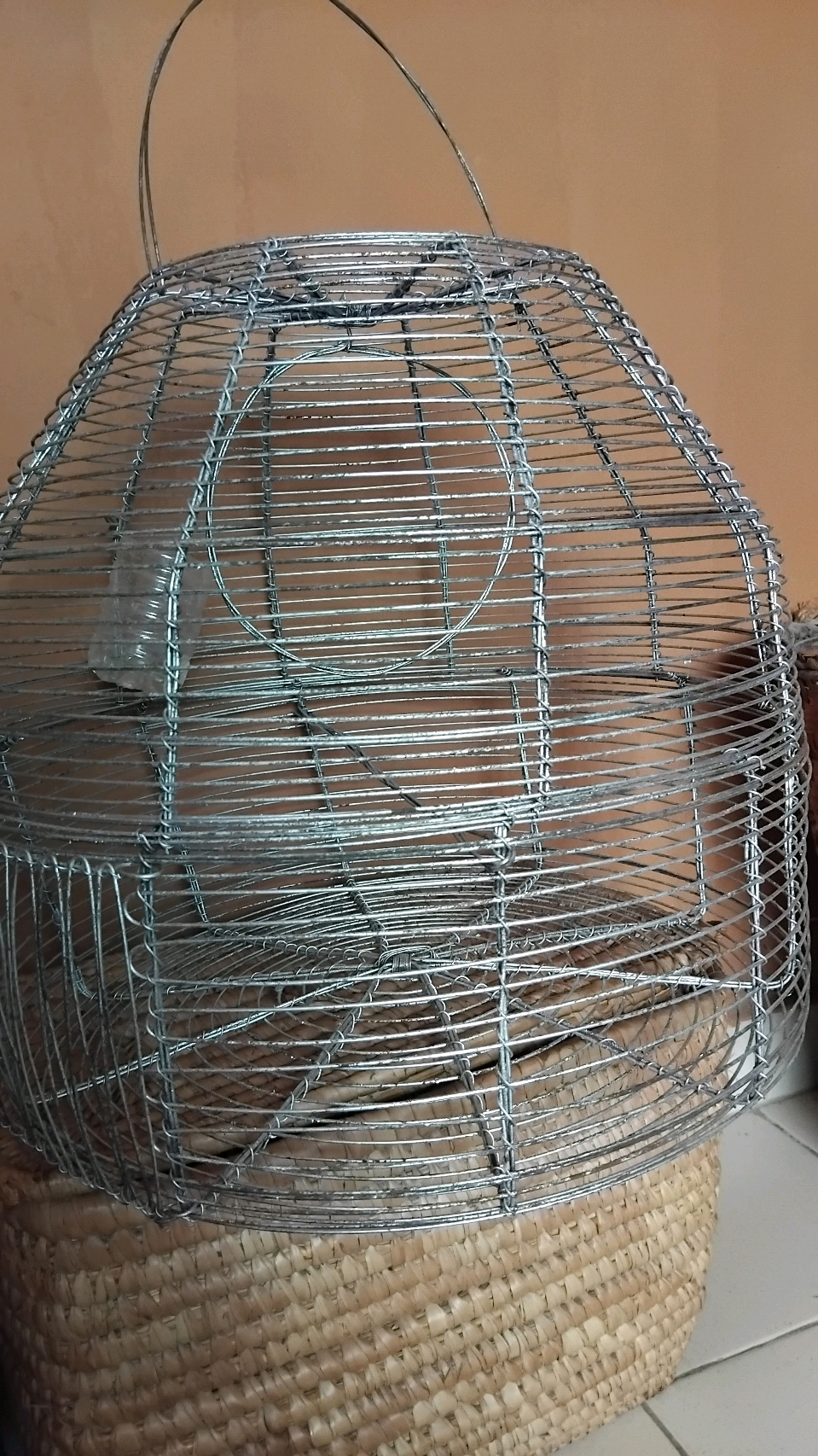 Bird cage