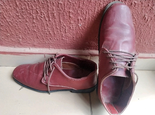 Shoe