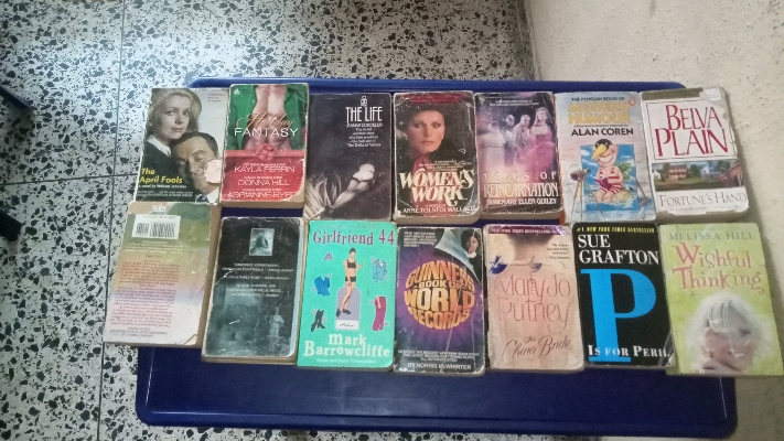 Novel