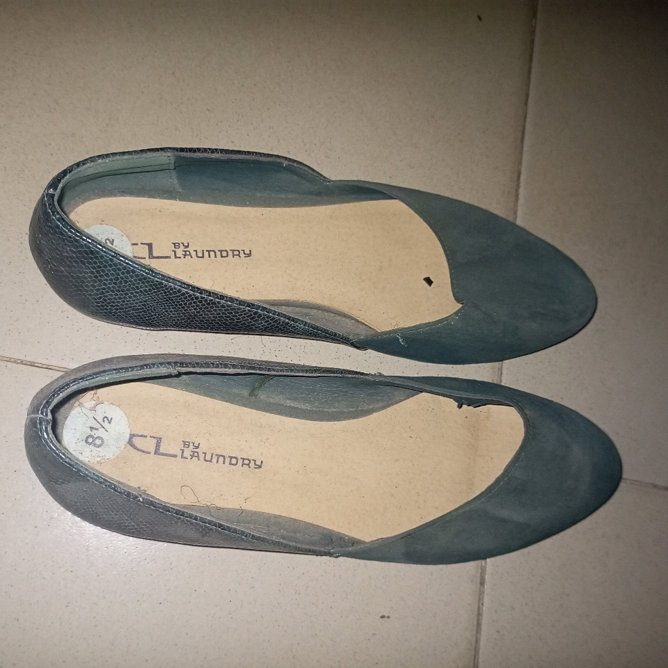 Shoe