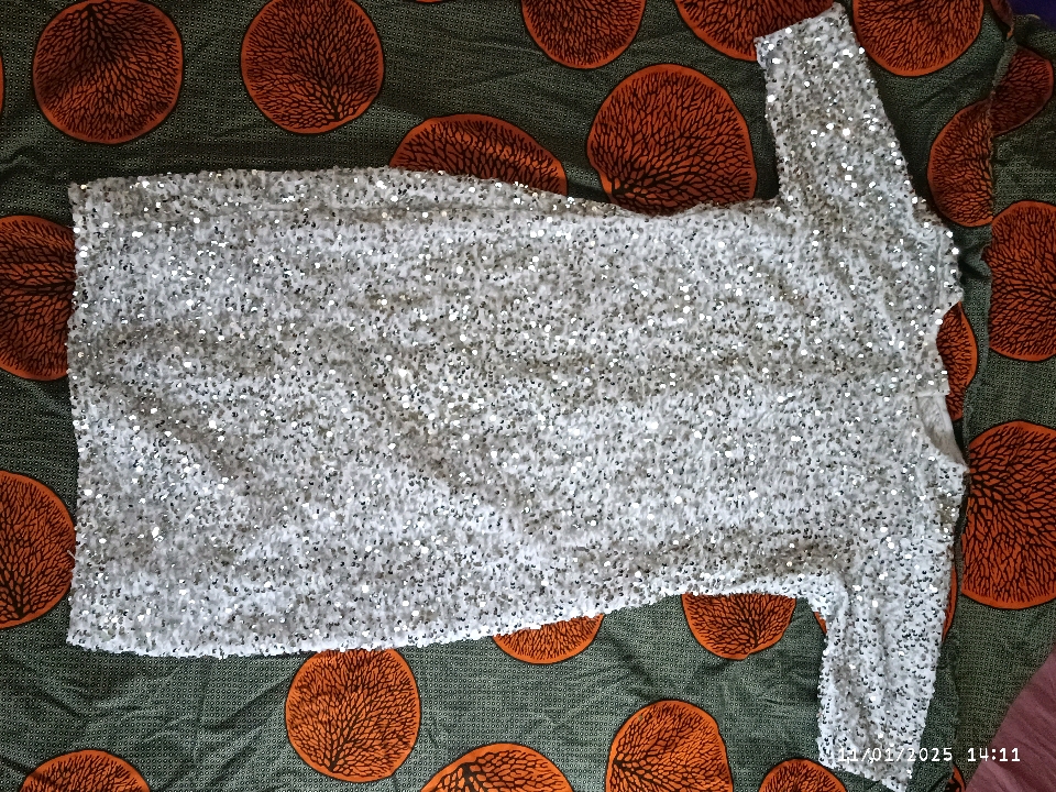 Silver Sequin Dress