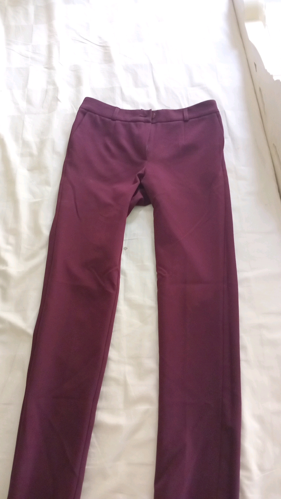 Purple office pants