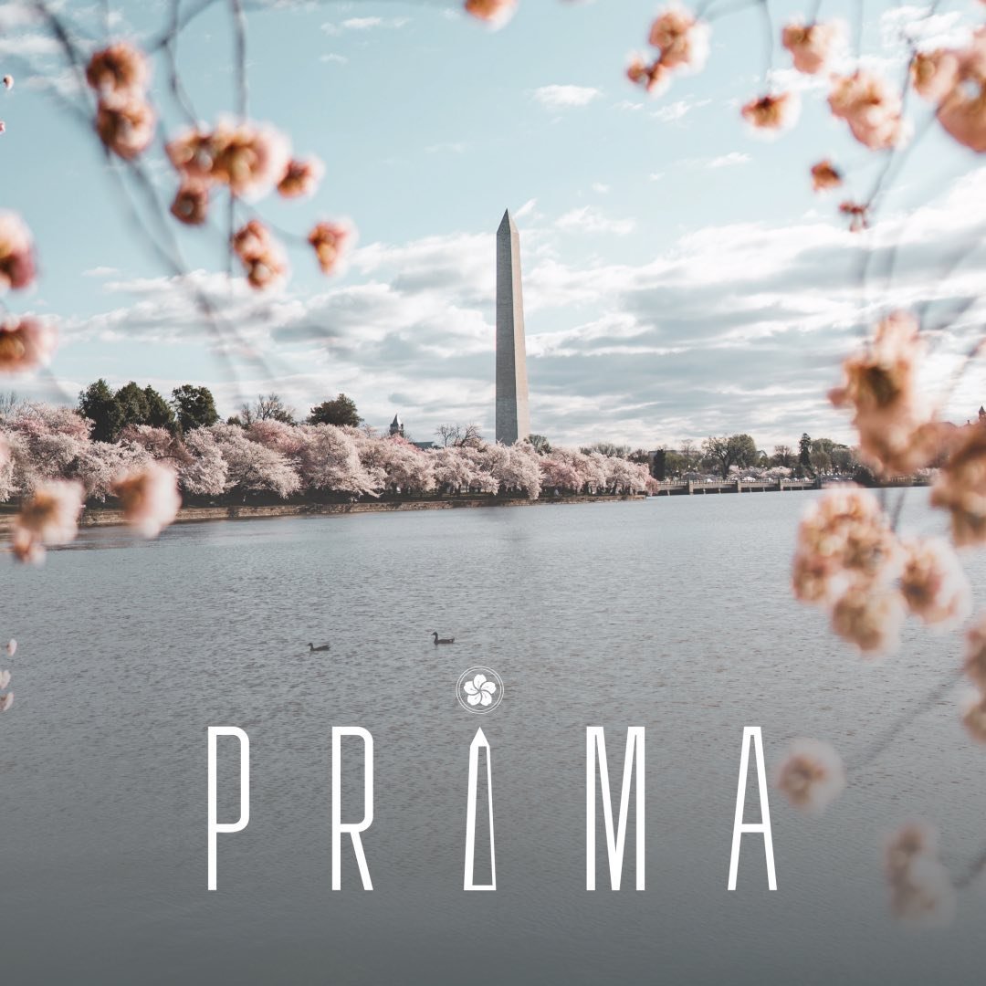 Prima DC Logo