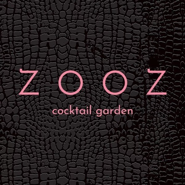ZOOZ logo