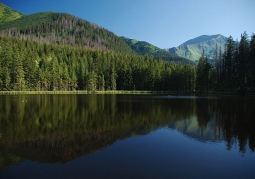 Smreczyński Pond