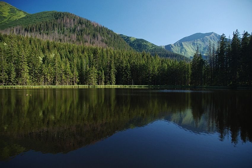 Smreczyński Pond