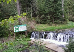 Jeleń Waterfall