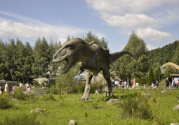 Educational trail - Tyrannosaur model