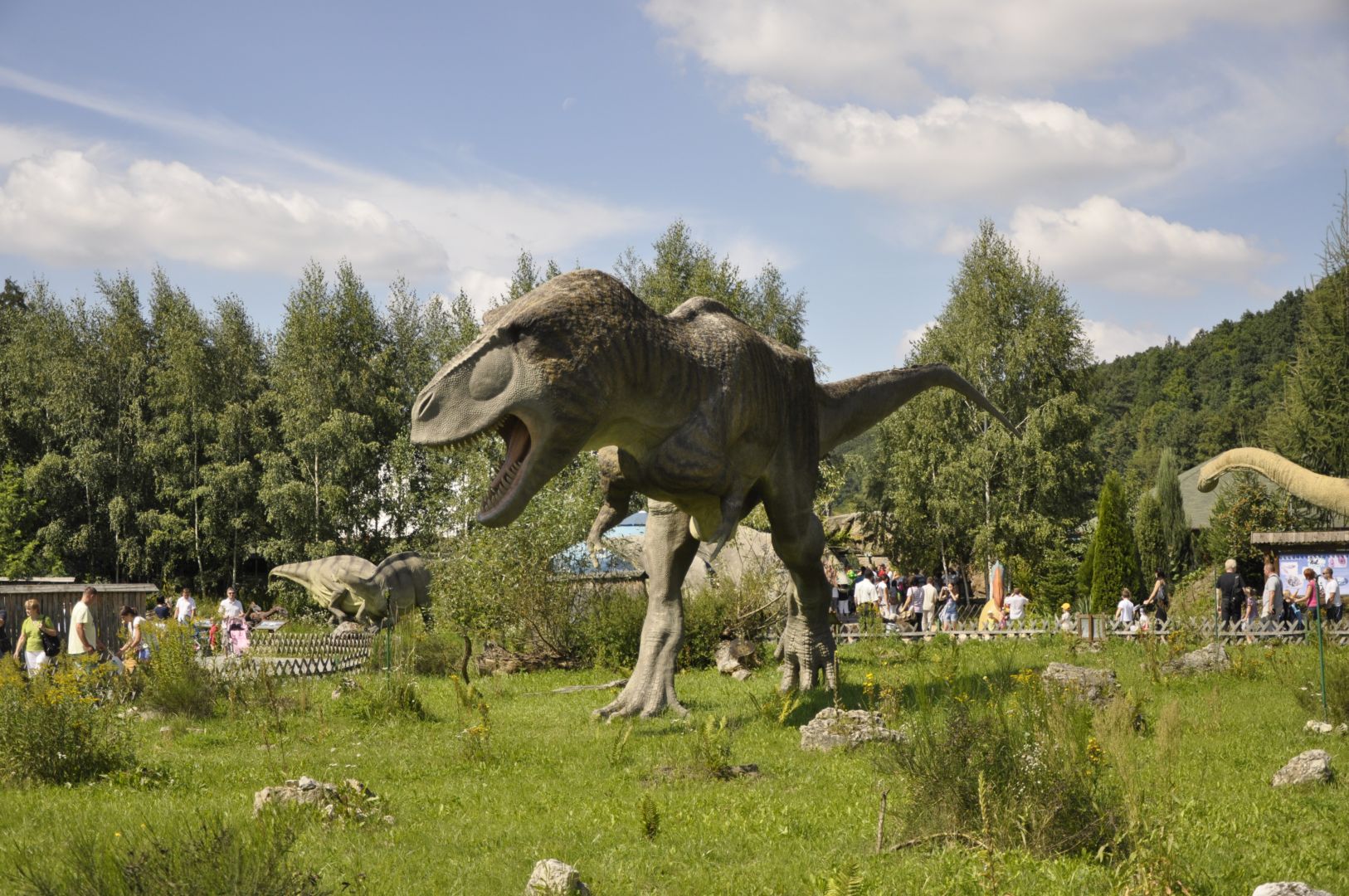 Educational trail - Tyrannosaur model