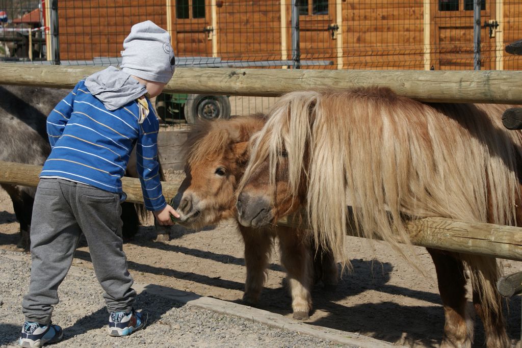 Bałtowski Kompleks Turystyczny - Park Dinozaurów JuraPark