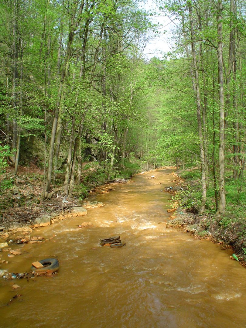 Przełomy Nature Reserve